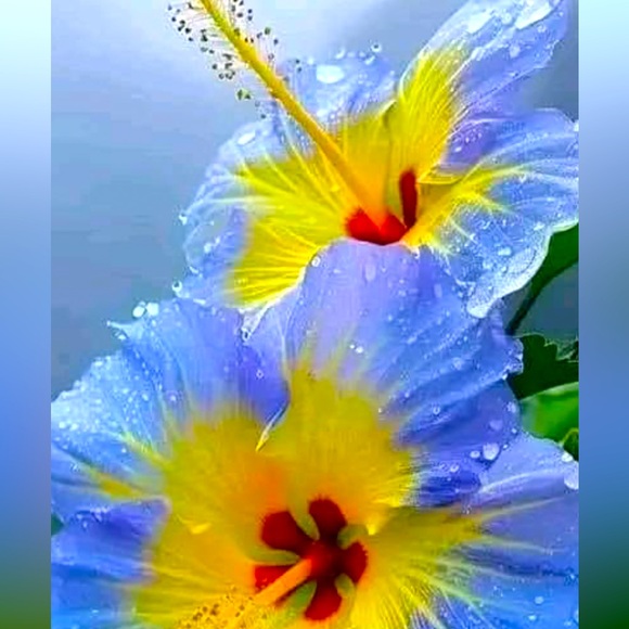 πENTIRE CLOSET SALE!!! Bundle for even better offers!! - Picture 1 of 1